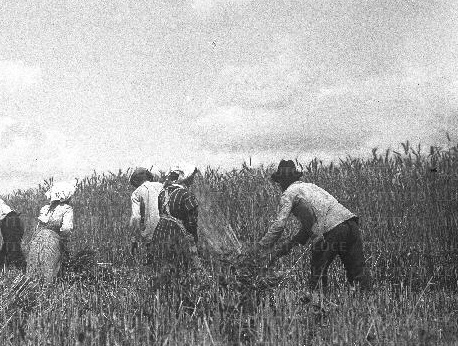 Loceri, la leggenda dei giganti di porfido e del pane che si trasformò in pietra