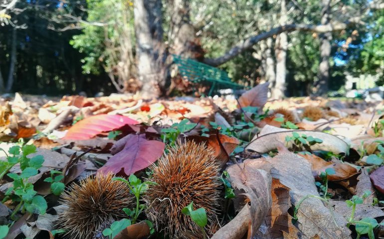 La foto del giorno. Autunno lanuseino nello scatto di Martina Aresu