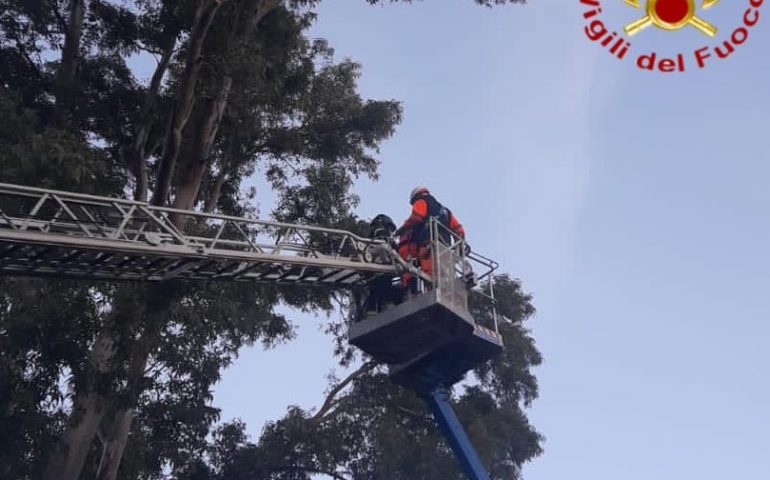 Nuoro, due operai bloccati su una piattaforma aerea a 15 metri dal suolo: intervengono i Vigili del fuoco