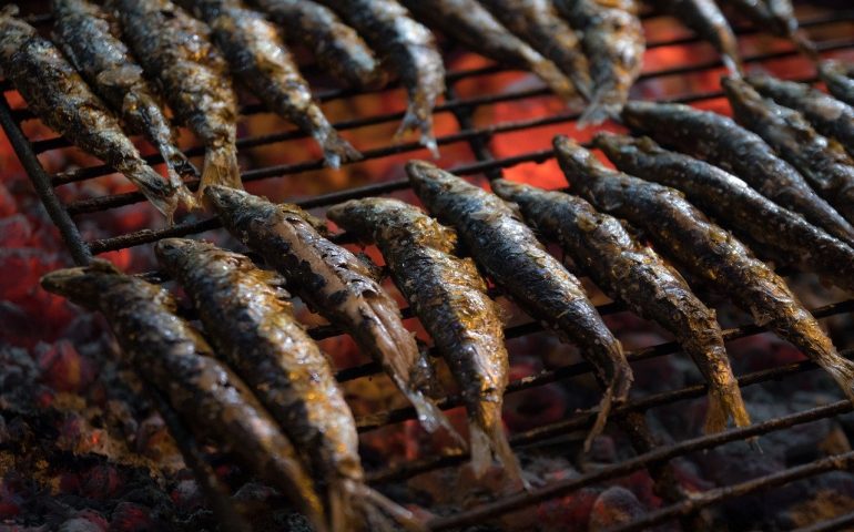 Lo sapevate? Ecco perché le sardine si chiamano così (Sì, c’entra la Sardegna)