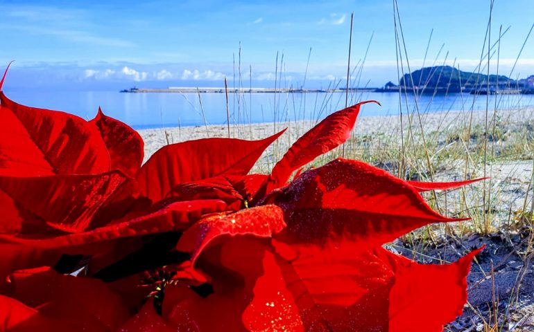 Le foto dei lettori. Gli auguri di Natale dalla spiaggia La Capannina di Arbatax