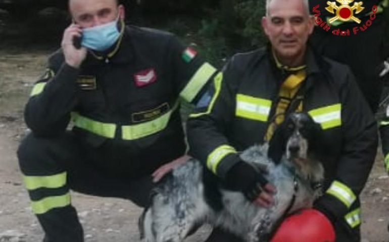 Dorgali, setter bloccato da giorni a venti metri d’altezza: lo portano in salvo i Vigili del fuoco