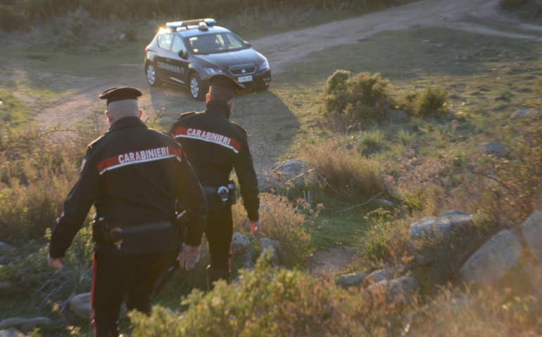 Sardegna. Furto di cannabis terapeutica da un’azienda agricola. I malviventi riescono a fuggire ma senza bottino