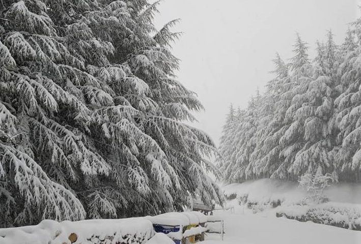 Un 2021 in “zona bianca”: a Fonni la giornata comincia così, sotto a una fitta coltre di neve