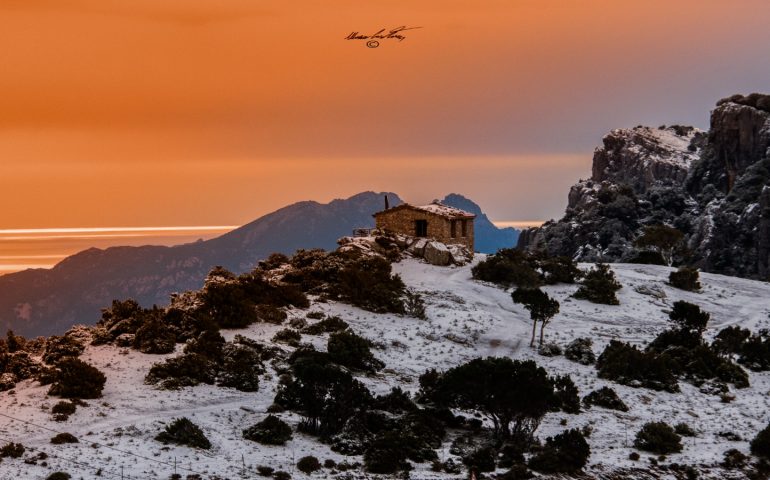 La foto di oggi. Sa matta de S’Acca a Gairo, un luogo fiabesco