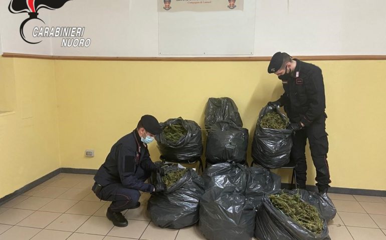 Lanusei, i carabinieri nel guado di un torrente trovano 11 sacchi di marijuana