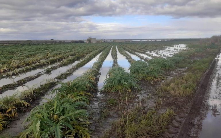 Anno nuovo, problemi vecchi. Coldiretti Sardegna: “Agricoltura sott’acqua”