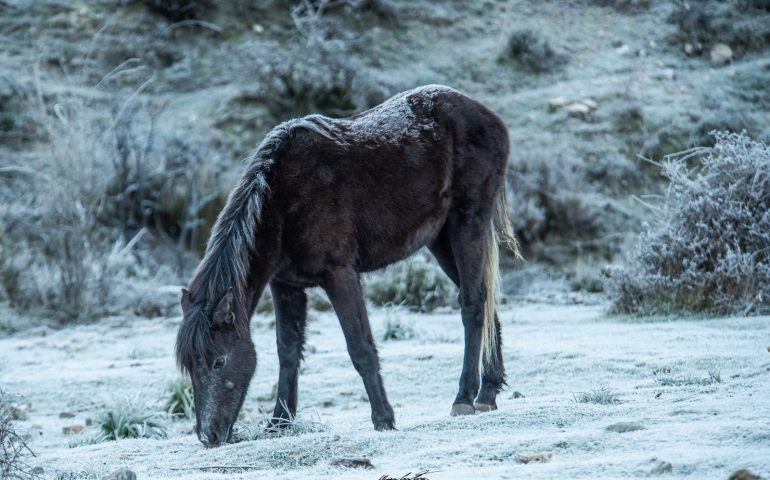 La foto del giorno: arriva il freddo in Ogliastra