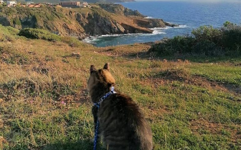 La storia di Giby, cieco e giramondo. I suoi occhi? La sua padrona che l’ha adottato in fin di vita