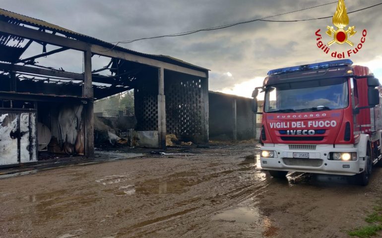 Sardegna, terribile incendio in un fienile: morti tra le fiamme 20 bovini