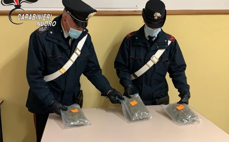 Nel furgone con la marijuana nascosta sotto al pesce da vendere in Ogliastra: arrestato