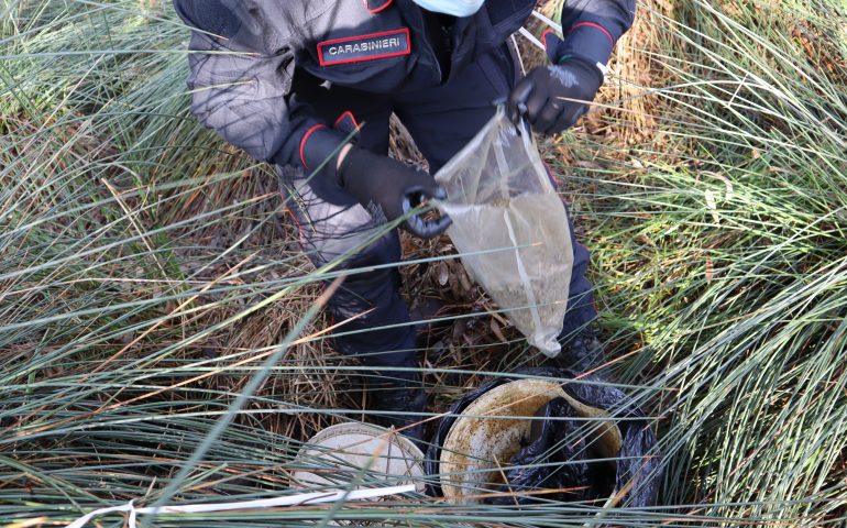 Lotzorai, nascosti in campagna sei chili di marijuana. Partite le indagini dei carabinieri