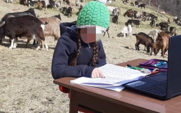 Fiammetta, la piccola di origini sarde che in Trentino studia in Dad in mezzo alle caprette