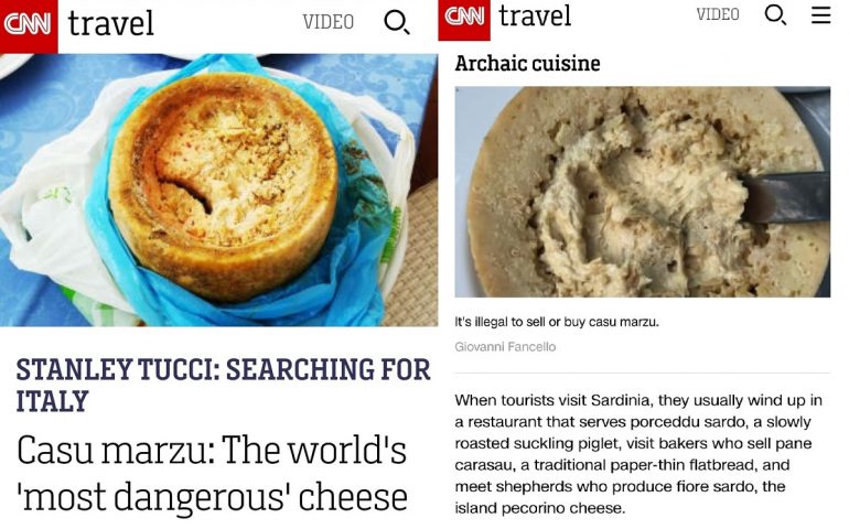 Il Casu Marzu sulla Cnn: “Il formaggio più ‘pericoloso’ del mondo”
