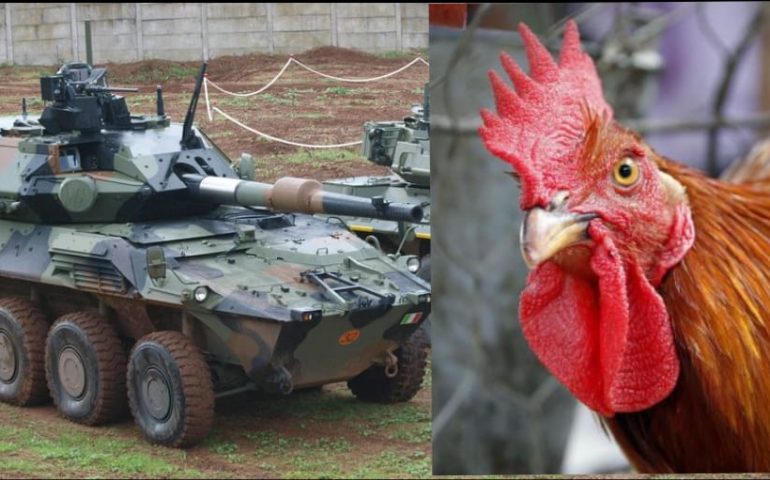 Italia, un carro armato sbaglia mira e centra un allevamento di galline