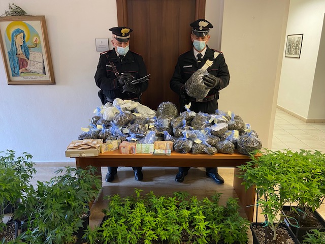 Più di 10 kg marijuana nel negozio di cannabis legale: in manette coppia di 45 e 30 anni