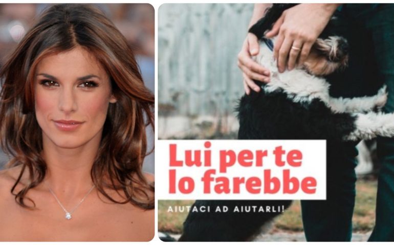 Speranzampetta: la generosità di Elisabetta Canalis per i randagi sardi