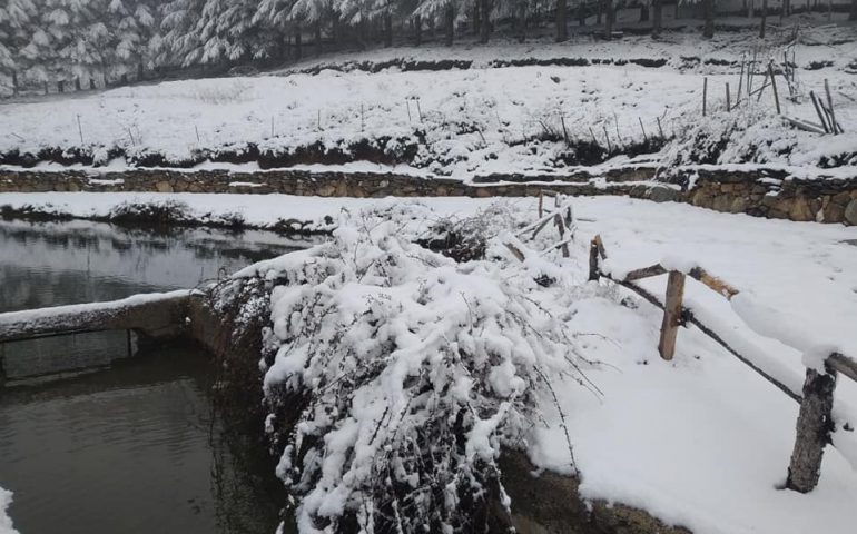 Primavera 2021: in Sardegna quest’anno è bianca. Le bellissime immagini da Fonni