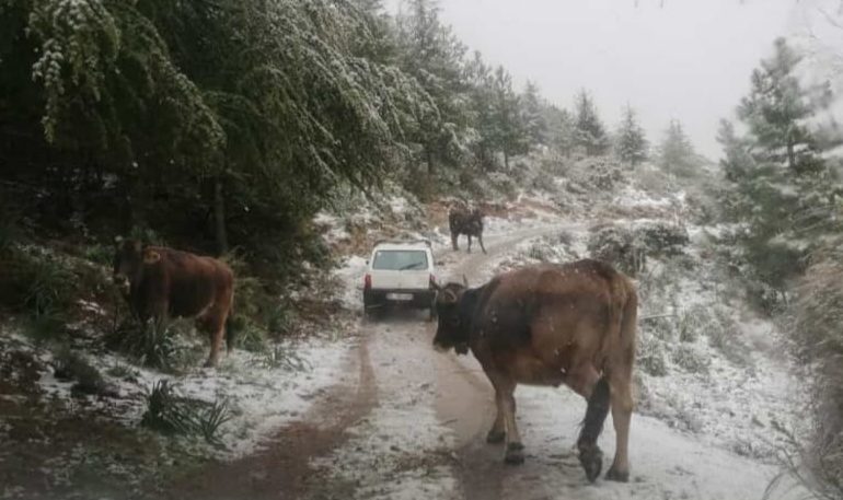 Ambiente, 500mila euro ai comuni montani per l’emergenza neve: risorse anche in Ogliastra