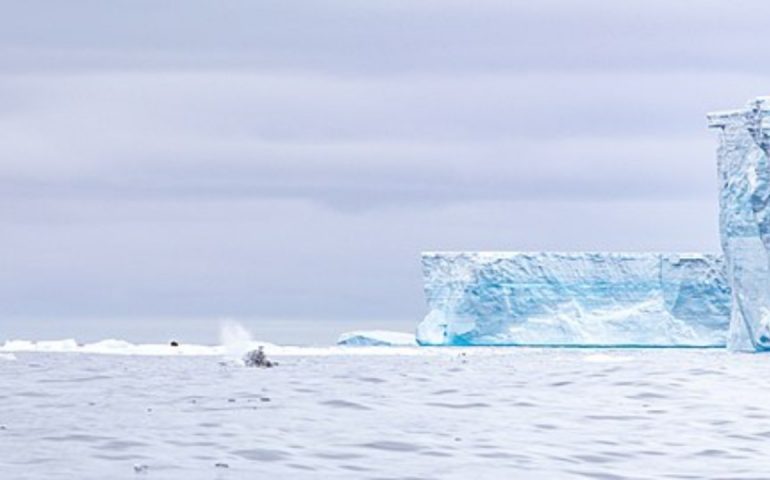 L’iceberg più grande del Mondo si è sciolto