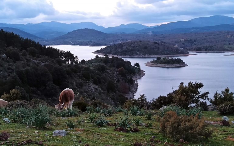 La foto dei lettori. Oggi il buongiorno arriva dal placido Lago del Flumendosa