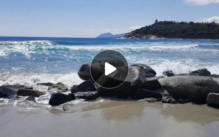 (VIDEO) Ogliastra, la bellezza del mare: la spiaggia di Porto Frailis ad aprile