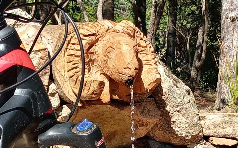 Le foto dei lettori. La fontana-muflone nel bosco di Santa Barbara a Villagrande