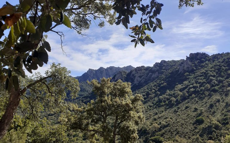 Le foto dei lettori. Il Sentiero Munduge a Talana nello scatto di Serenella Puddu