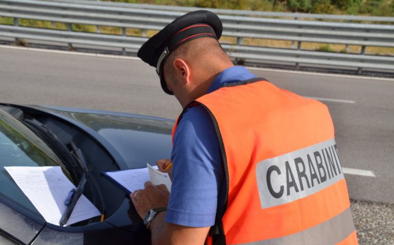 Bestiame libero per strada: quattro denunce in Ogliastra. Carabinieri: “Pericolo per automobilisti”