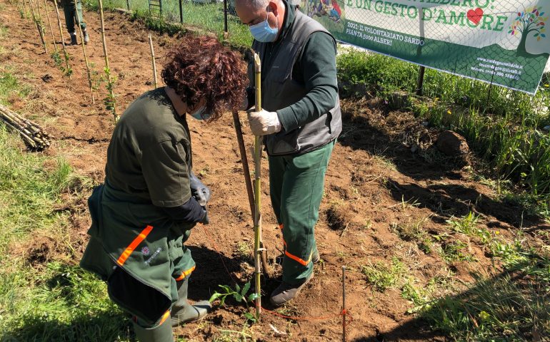 La Bitti che riparte e pianta nuovi alberi. Un evento simbolico importante dopo la terribile alluvione