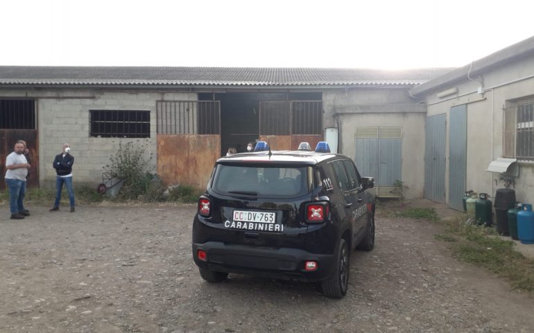Incidente sul lavoro in Sardegna, precipita dal tetto di un capannone: muore un allevatore 61enne