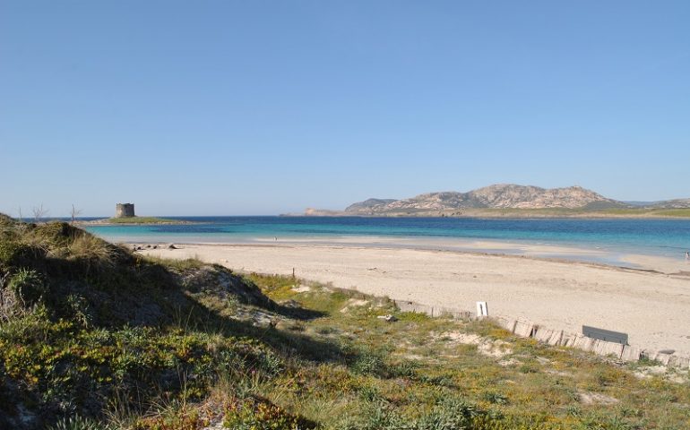 Buone nuove da Stintino: la spiaggia de La Pelosa grazie al numero chiuso è migliorata