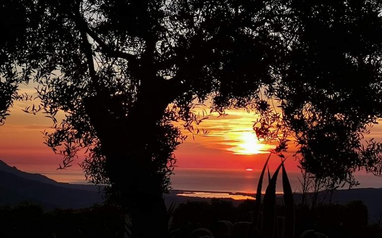 La foto dei lettori. Tra profumi e colori a Lanusei