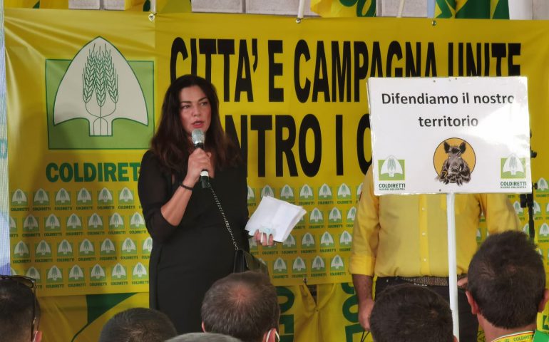 Agricoltura, stop invasione cinghiali. L’assessora Murgia: “Nuove norme per contenimento fauna selvatica”