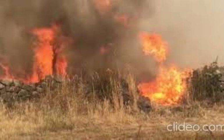 Terribile incendio nel Nuorese, tre elicotteri in azione