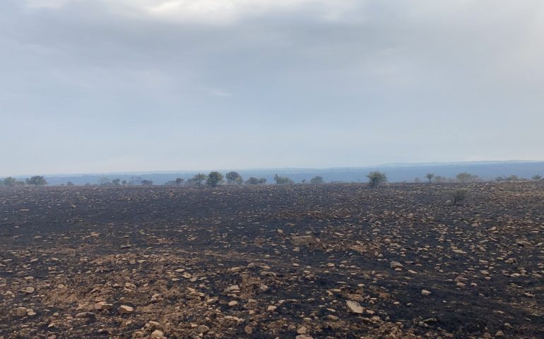 Notte di fuoco anche per l’Ogliastra. Coldiretti: “Una vera catastrofe, campagne sotto assedio”