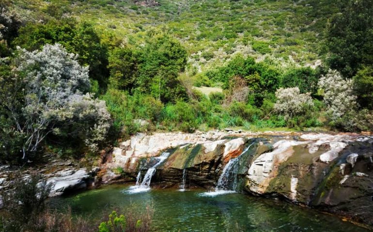 Le foto dei lettori. Alla ricerca di refrigerio in un giorno d’estate: una piscina sul letto del fiume