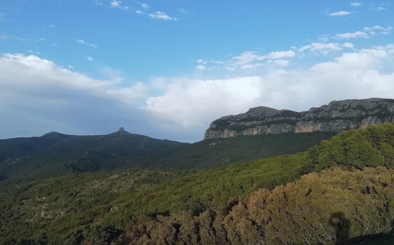 Le foto dei lettori. Ogliastra, Perda de Liana e Margiani Pubusa: un “mare” di verde