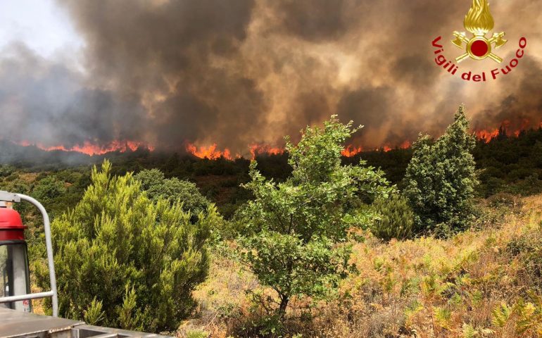Vasti incendi in Ogliastra e nel Nuorese: massimo dispiegamento di forze per domare le fiamme