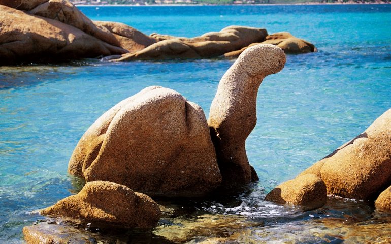 Lo sapevate? In Sardegna c’è una curiosa roccia a forma di tartaruga. Ecco dove si trova