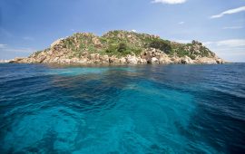 Lo sapevate? Nell’800 era stato progettato un porto nell’Isolotto di Ogliastra