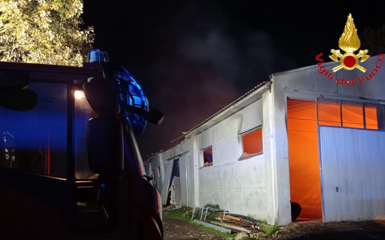 Fonni, incendio devasta un capannone agricolo: strage di vitelli all’interno