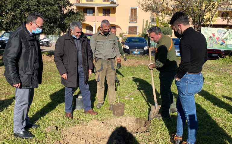 Tortolì, messe a dimora 200 piantine donate da Forestas