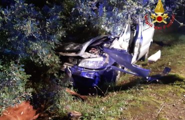 incidente-cavallo-auto (2)