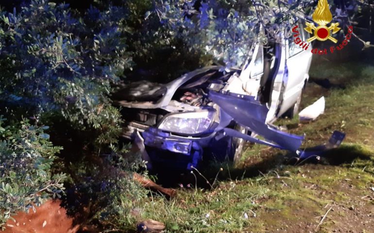 incidente-cavallo-auto (2)