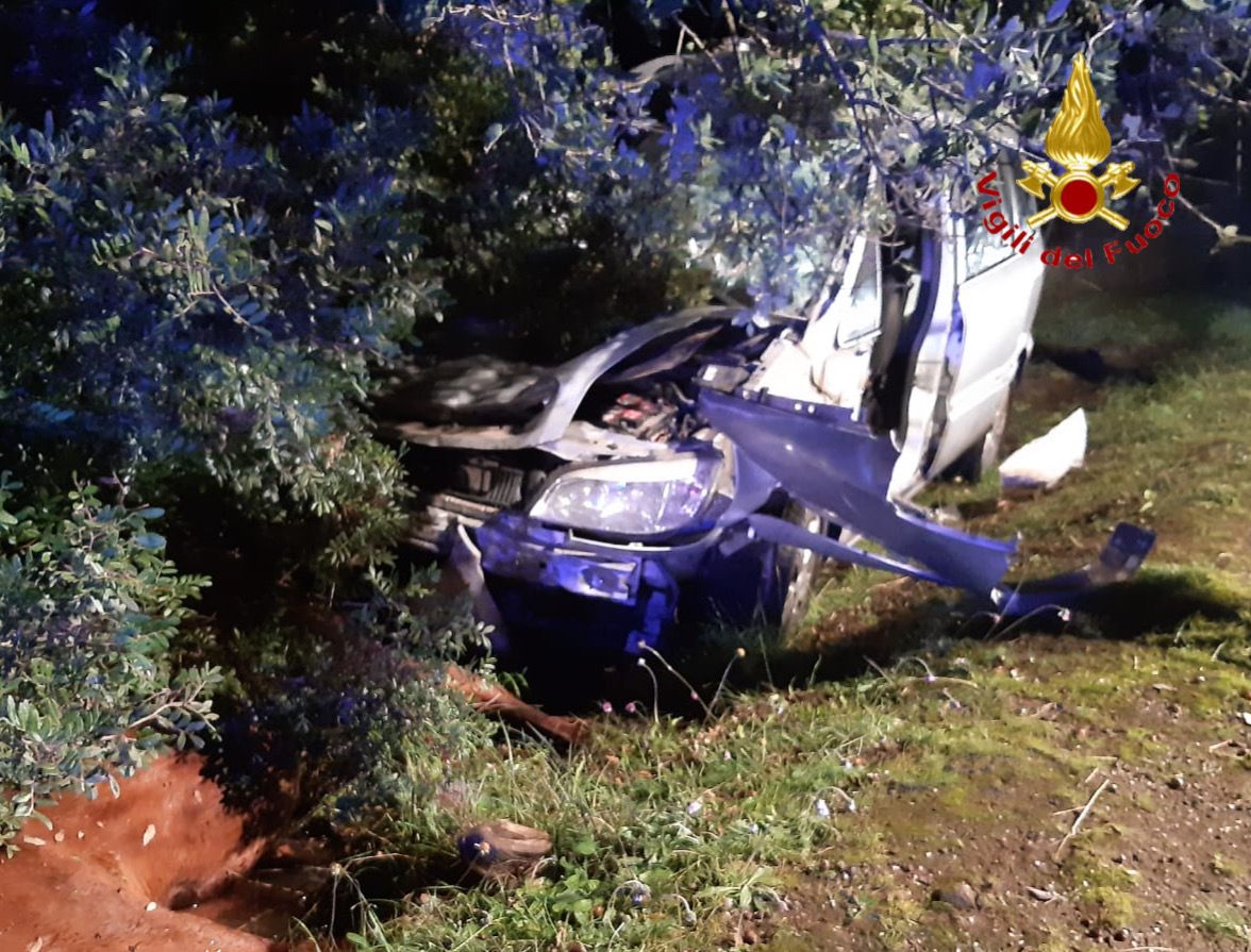 incidente-cavallo-auto (2)