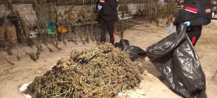 Sardegna, 300 chili di droga nascosta in sacchi e scatole: due denunciati