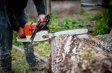 man cutting trees using an electrical chainsaw and professional