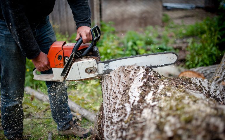 man cutting trees using an electrical chainsaw and professional