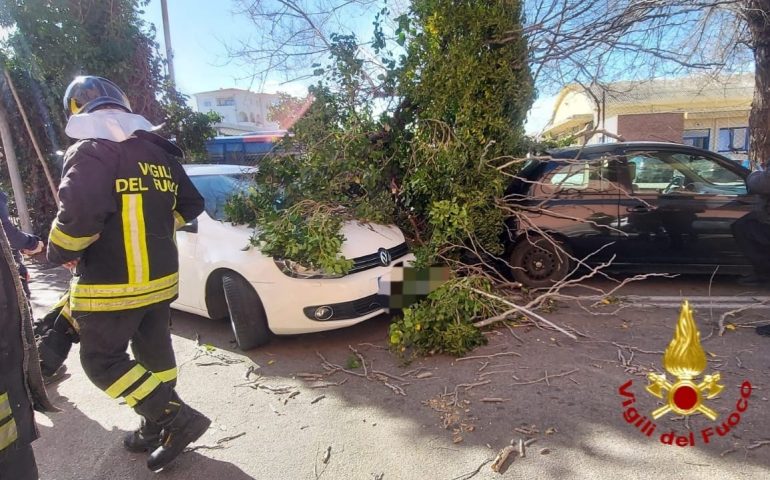 Maestrale scatenato in Sardegna: grosso albero cade su due vetture. Ingenti danni nell’Isola